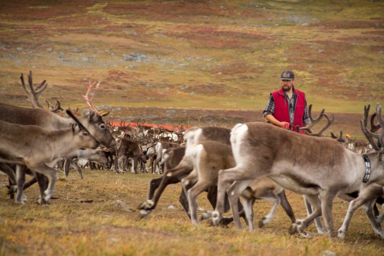 Lappland Sami PeopleTina Rentzsch01small